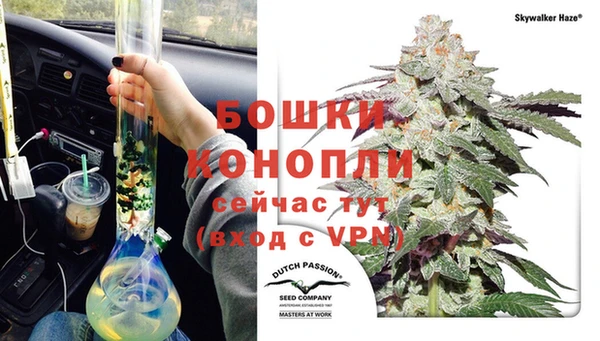 spice Горнозаводск