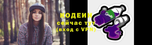 хмурый Горно-Алтайск