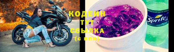 хмурый Горно-Алтайск