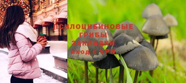spice Горнозаводск